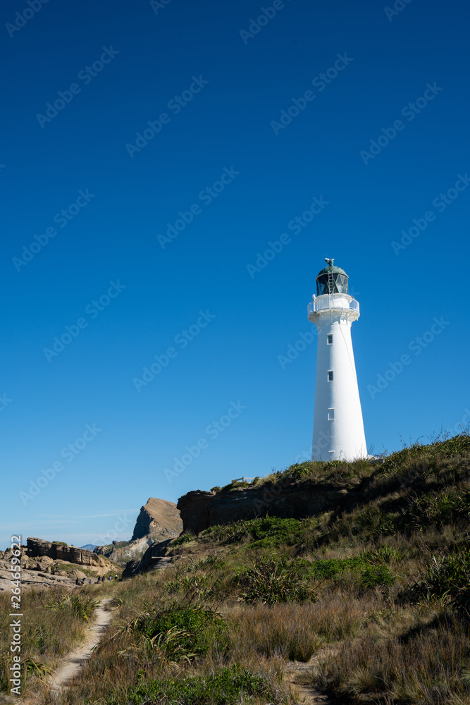 Castlepoint Lighthouse in the Wairarapa, New Zealand