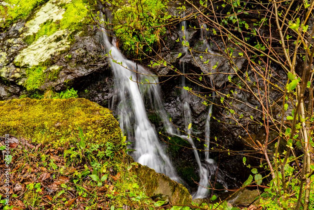 Beautiful landscape view of waterfall flowing around rocks with greens and stones. Beautiful landscape view of waterfall flowing around rocks with greens and stones.
