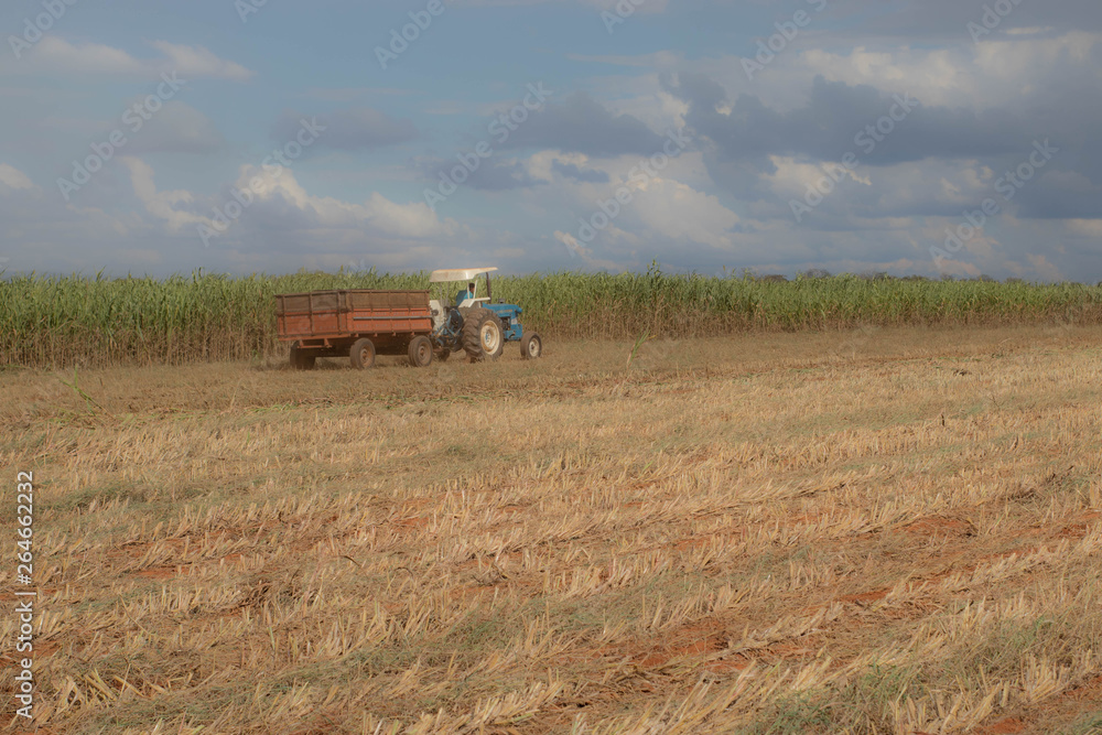 Obraz premium tractor in field