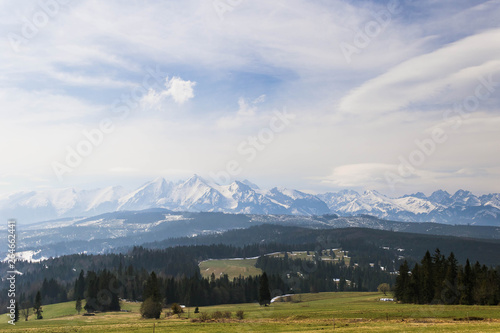 Landscape with snowy peaks of Polish Tatra Mountains and green grassy fields and coniferous trees on the hills.