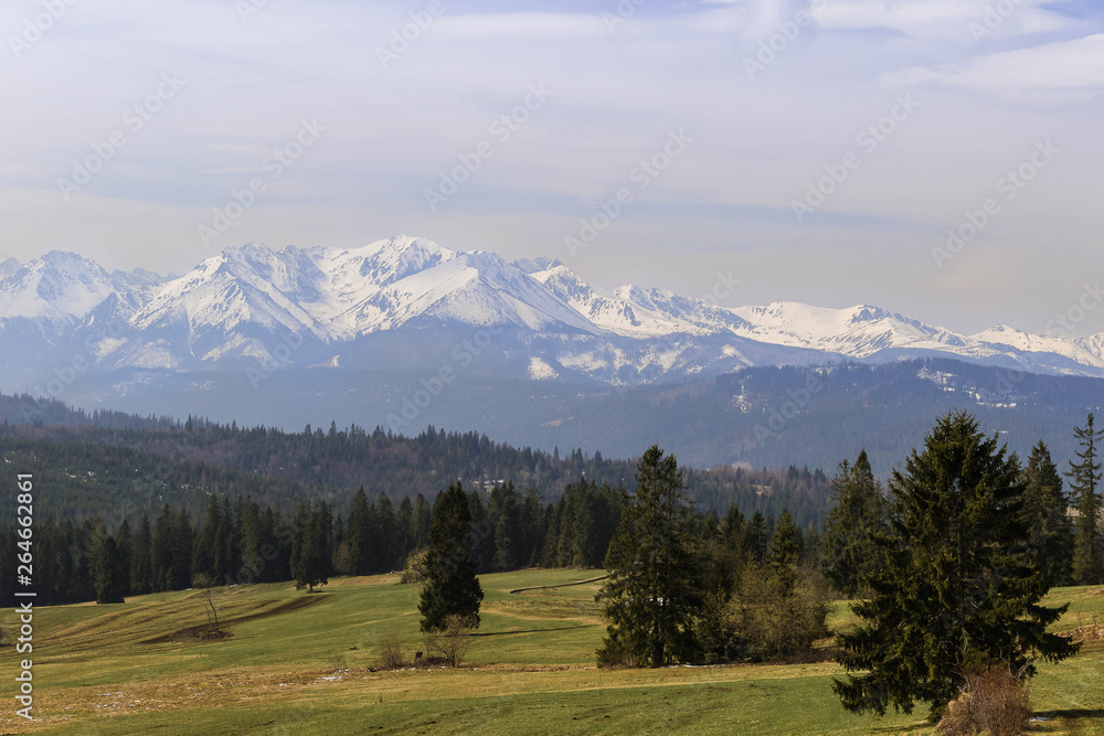 Landscape with snowy peaks of Polish Tatra Mountains and green grassy fields and coniferous trees on the hills.