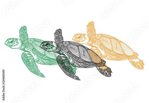 The sea turtle swims. Meditative coloring of antistress. Arrows, strips, scales, lines. Logo, print on the T-shirt. Children's painting, drawing by hand. 