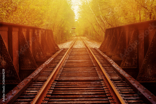 Artistic rendition on an old rusted railroad trestle crossing in the deep south. This steel riveted bridge is complemented by bright yellow sunlight and textured rusted metal.