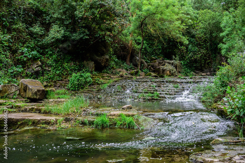 Wilderness area with stream of the Rio Mourão, dense and pure vegetation, Anços - Sintra, Portugal photo