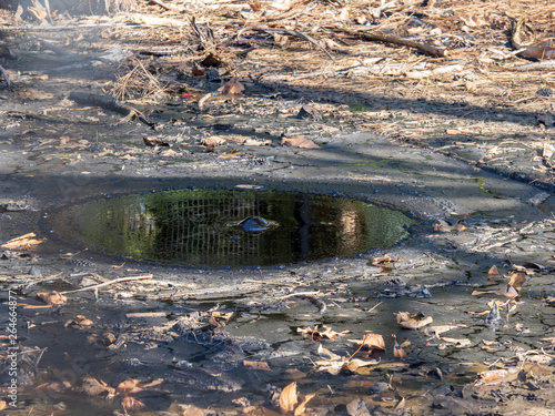 Tar pit surrounded by leaves outside with bubble set to pop