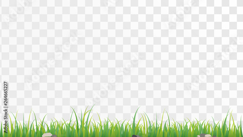Border lawn texture, green grass on a transparent background, meadow, field