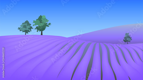 Landscape with a lavender field and hills, agriculture and aromatherapy, Valensole