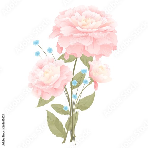 Fototapeta Naklejka Na Ścianę i Meble -  Romantic bouquet with pink peonies on a white background, bouquets of flowers