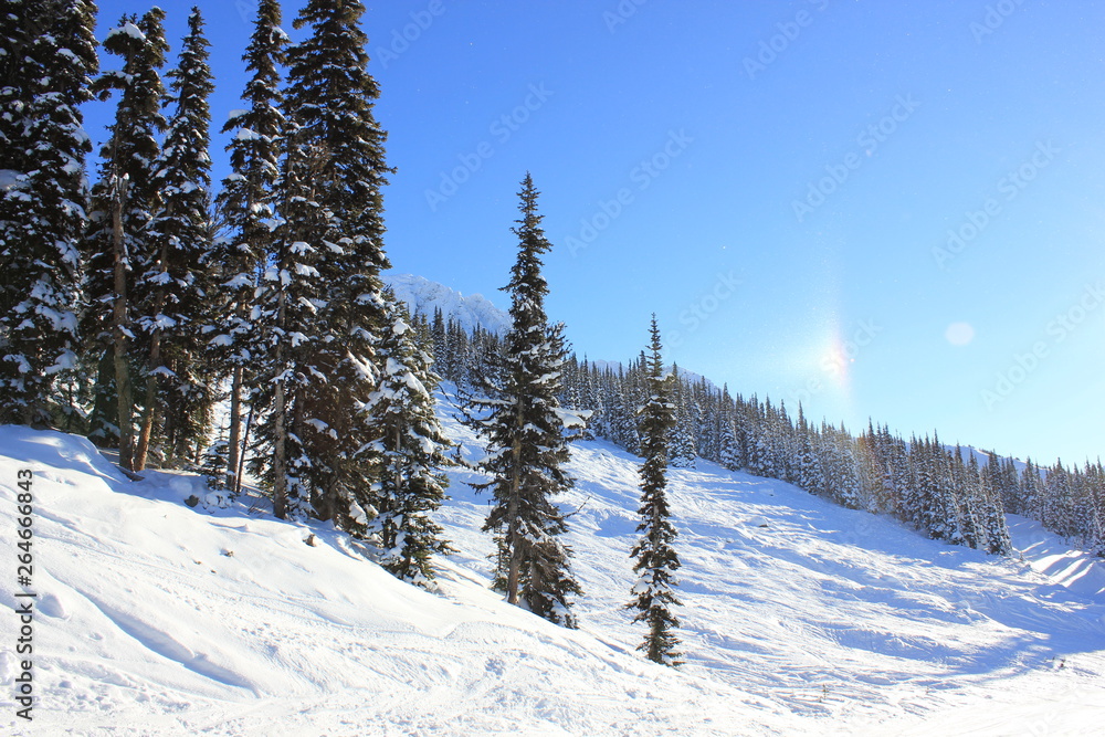 Fototapeta premium Winterwonderland