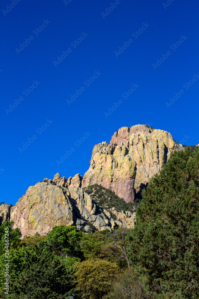 The colorful Chiricahua Mountains are one of Arizona's famous sky islands