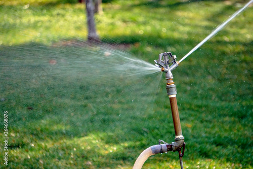 Sprinkler-irrigated grassland photo