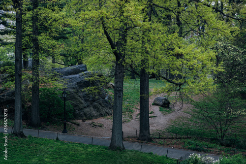 New York City - USA - Apr 26 2019  Spring landscape in Central Park New York City