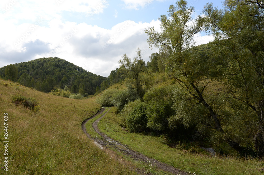 Mountain landscape in the vicinity of the taiga settlement of the General of the Altai Territory in Western Siberia