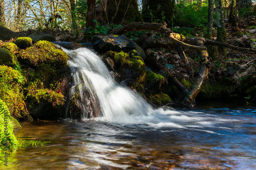 Obraz premium Water Cascade in Sunshine