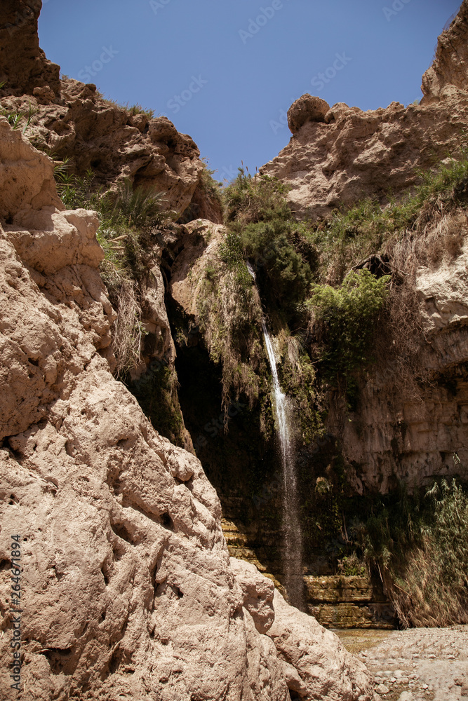 En Gedi - Dead Sea - Israel