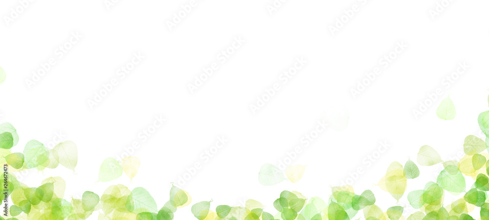 葉 背景素材 フレーム ナチュラル Stock イラスト Adobe Stock 葉 背景素材 フレーム ナチュラル Stock イラスト Adobe Stock