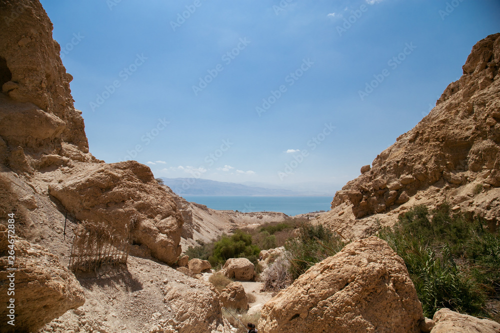 Dead Sea - Israel 
