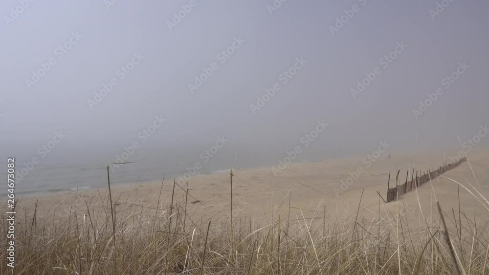 Beach in the fog Beach in the fog