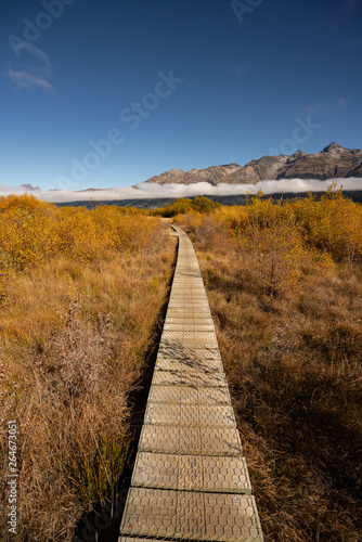 A Wooden walkway in Glenorchy  New Zealand