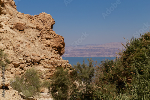 En Gedi - Dead Sea - Israel 