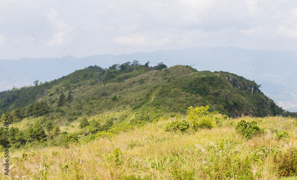 Obraz premium Meadow Mountain on Phu Chi Fa Forest Park with Sky and Cloud Zoom