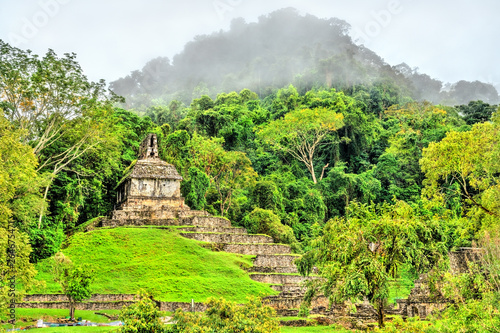 Wallpaper Mural Ruins of Palenque in Chiapas, Mexico Torontodigital.ca