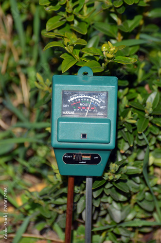 Soil moisture, light and PH meter for small private garden.