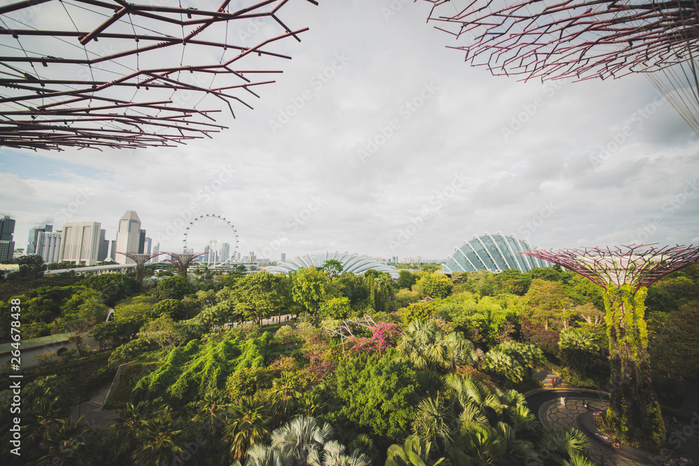 Fototapeta premium Gardens by the bay park in Singapore.