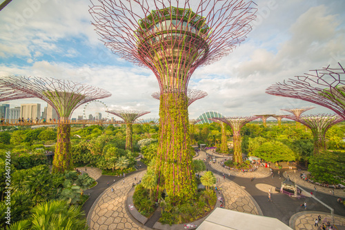 Gardens by the bay in Singapore.