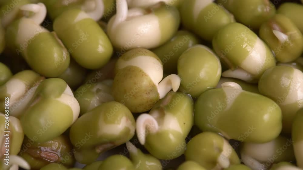 Sprouted mung beans. Soaking and Sprouting Whole Grains, Beans, Nuts, Seeds for Best Nutrition. Raw food diet Sprouted mung beans. Soaking and Sprouting Whole Grains, Beans, Nuts, Seeds for Best Nutrition. Raw food diet