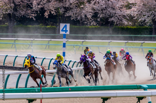 Plakat 競走馬