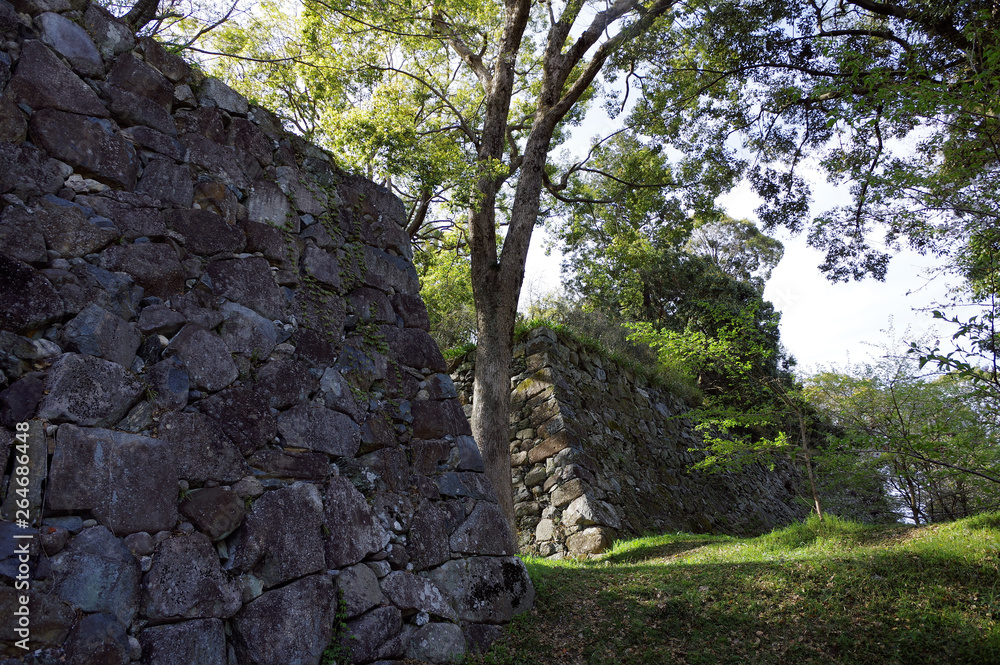 Fototapeta premium 田丸城の石垣