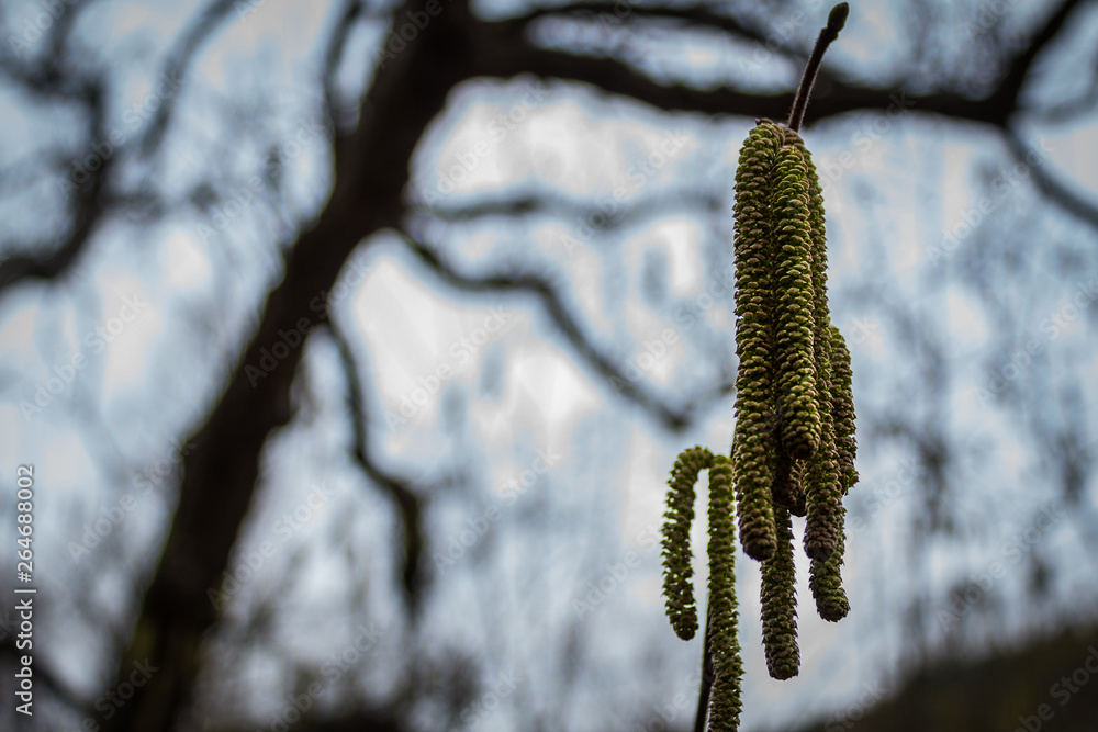 Naklejka premium Hanging