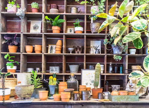 Working space and shelf with garden tools in cozy home garden on summer.