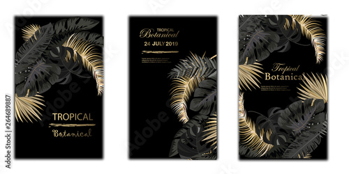 Vector arrangement with black and gold tropical leaves on dark background. Luxury exotic botanical design for cosmetics, spa, perfume, aroma, beauty salon.