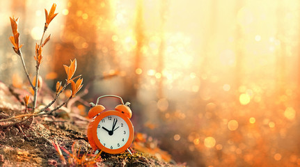 clock alarm in autumn nature forest. concept make time for nature, environment. Daylight savings time. Symbolic still life representing autumn season. beautiful fall season scene. soft focus