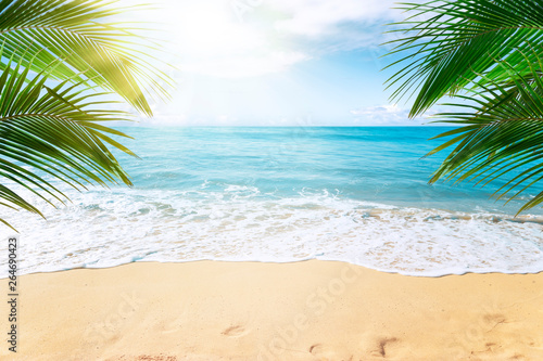 Fototapeta Naklejka Na Ścianę i Meble -   Sunny tropical Caribbean beach with palm trees and turquoise water, island vacation, hot summer day