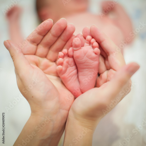 Baby little feet in mother hands. Mom and her Child. Happy Family concept. © Aleksandra