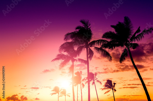 Tropical island sunset with silhouette of palm trees, hot summer day vacation background, golden sky with sun setting over horizon