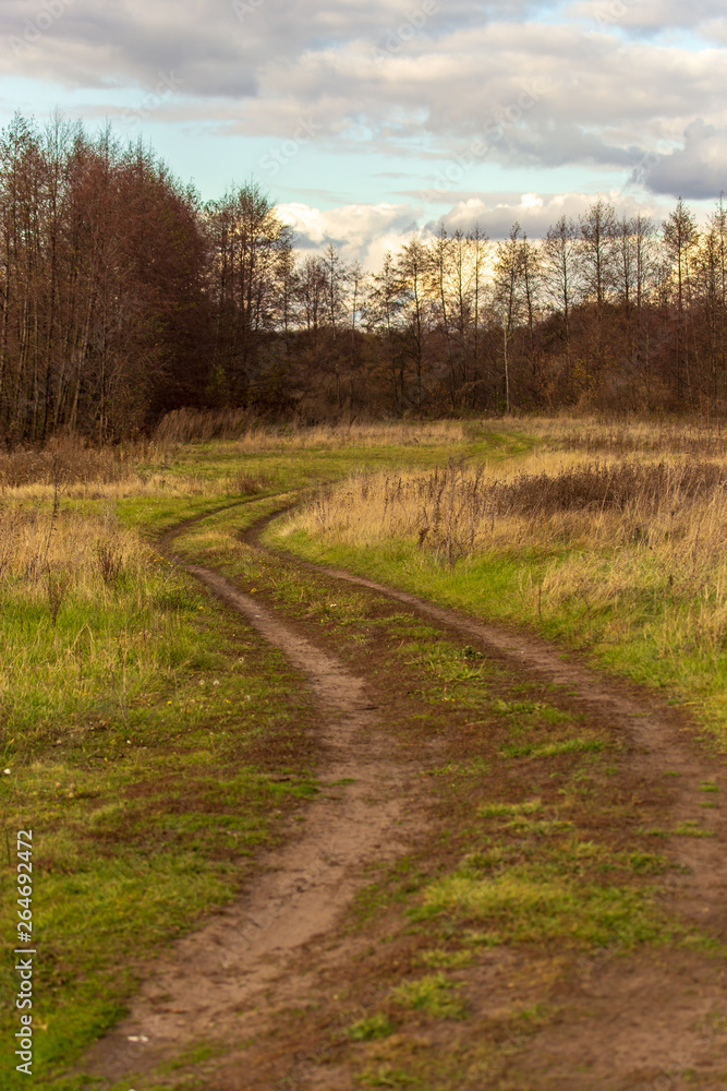 Dirt road in the field on the grass Dirt road in the field on the grass