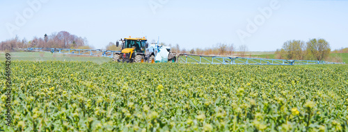 Foto spraying rape field