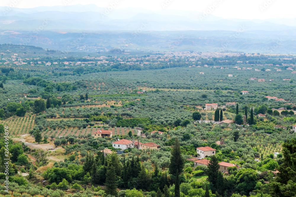 panoramic view of the classic greek landscape with olive groves from Mystras hill