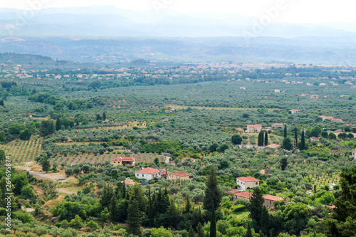 panoramic view of the classic greek landscape with olive groves from Mystras hill