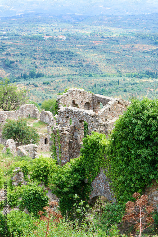 ruins of abandoned medieval city Mystras overgrown with vines
