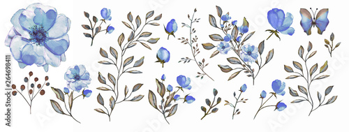 Watercolor illustration. Botanical collection.  Set: leaves, flowers,branches, herbs and other natural elements. Blue flowers.