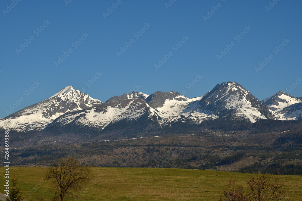 snow-covered mountain peaks  with grass landscape in the spring  High Tatras Slovakia