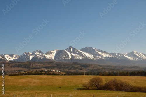 snow-covered mountain peaks with grass landscape in the spring High Tatras Slovakia