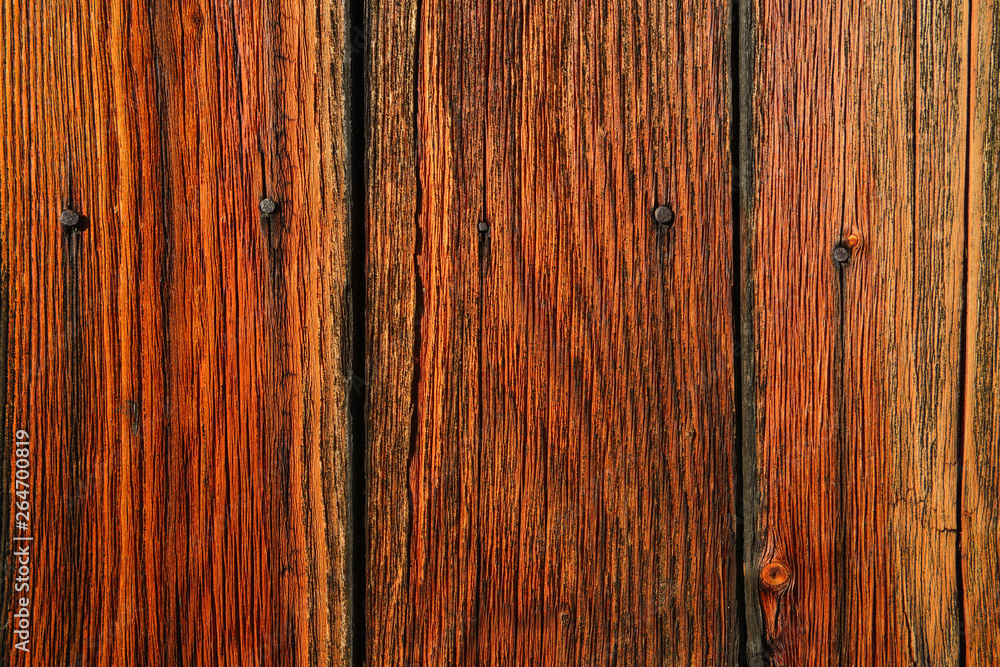 Close-up of bords, Bavaria, Germany Close-up of bords, Bavaria, Germany