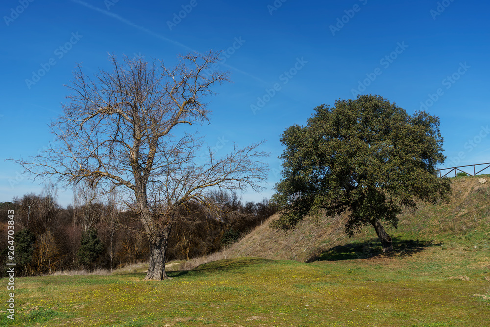 Obraz premium El Pardo