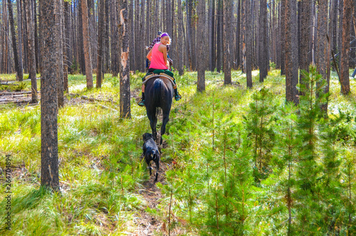Horseback ride at Medicine Bow National Forest in Wyoming.